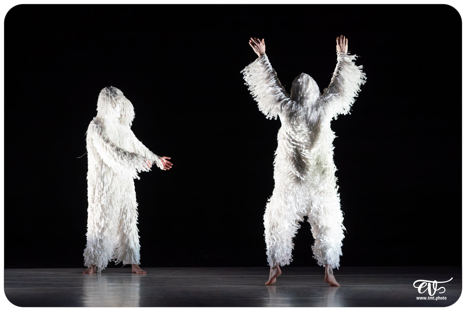 A4 (COMME LA FEUILLE) CIE CHICOS MAMBO